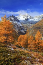 Obergabelhorn, 4063 m, Valais Alps, Valais, Switzerland, Europe