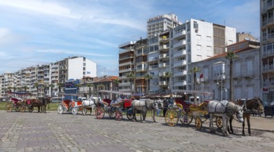 Horse-drawn carriages waiting for tourists, Izmir, Turkey, Asia