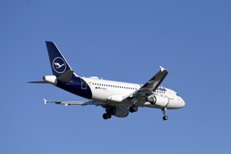 Aircraft Lufthansa, Airbus A319-100, D-AILU