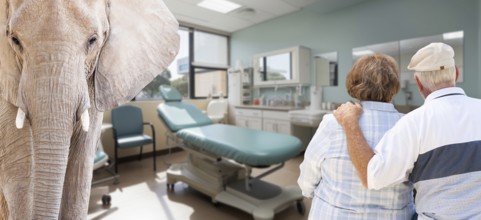 Senior couple from behind in a hospital with an elephant in the room