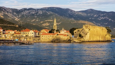 View of the old town and citadel of Budva in the evening light, Montenegro, Budva, Montenegro,