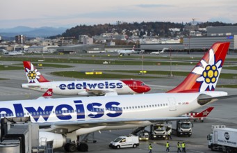 Two Airbus aircraft of the Swiss holiday airline Edelweiss Air at Zurich Airport, Zurich,