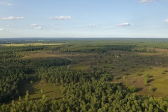 Aerial view of the Osterheide during the heath blossom in the Lüneburg Heath. Schneverdingen, Lower