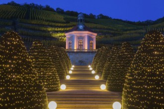 Autumnal evening mood at the Wackerbarth Castle Winery