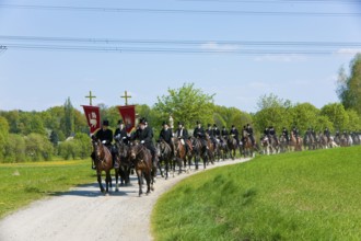 Every year at Easter there are about 5 processions in Lusatia, each with about 200 riders. The