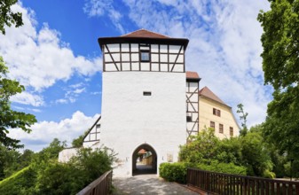Bad Düben Tower Lug to the Land