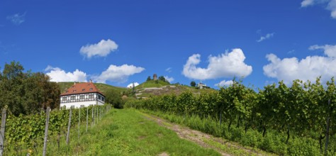 Hoflößnitz Winery in Radebeul