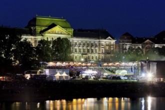 Film Nights on the banks of the Elbe