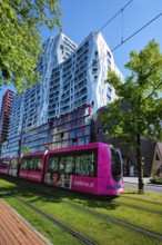 ROTTERDAM, THE NETHERLANDS, MAY 11: Modern tram in street of Rotterdam, Netherlands