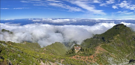 Pico Ruivo (1. 862 m) View from Madeira's highest peak, spectacular view, vegetation, above cloud