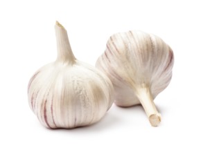 Two garlic bulbs isolated on white background