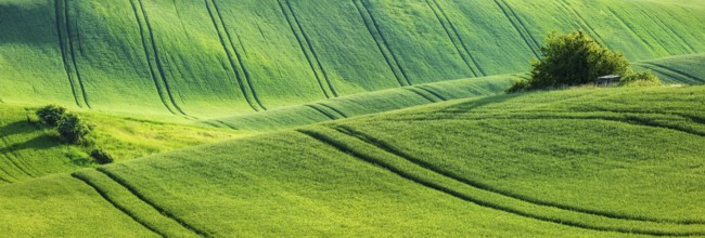 European rural wallpaper, panorama of Moravian rolling landscape, Moravia, Czech Republic, Europe