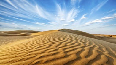 Panorama of dunes of Thar Desert. Sam Sand dunes, Rajasthan, India, Asia