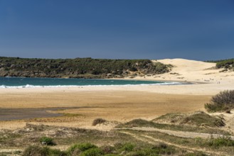 The beach of Bolonia, Tarifa, Costa de la Luz, Andalusia, Spain, Europe