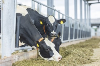 Federal Minister of Food and Agriculture, Cem Özdemir, visits Großdrebnitzer Agrarbetriebsges. mbH