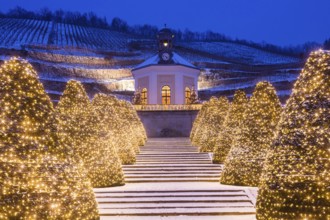 Wackerbarth Palace Park in Winter