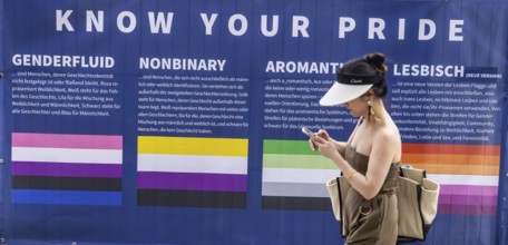 Banner with definition of terms: Genderfluid, Nonbinary, Aromantic or just Lesbian? A colour code