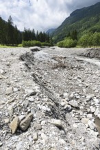 Illegal stream straightening in a nature reserve, Rappenalpbach in the Rappenalptal valley near