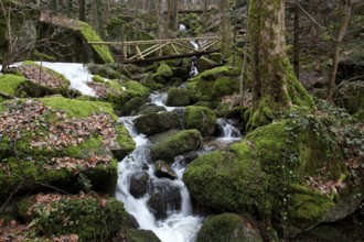 Moss-covered rocks, waterfalls, wooden bridge, Geishöll waterfalls, In der Geishöll, near