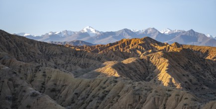 Landscape of eroded hills at sunrise, badlands, white mountain peaks of the Tian Shan Mountains in