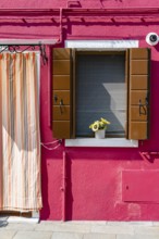 Pink house facade with entrance door and window with flowers, colourful houses on the island of