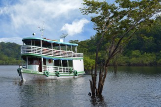 Traditional Amazonian wooden boat navigating on the Rio Negro, Manaus, Amazonia State, Brazil,