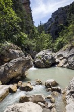 River L Estoublaisse, Trevans Gorge, Gorges de Trévans, near Estoublon, Alpes-de-Haute-Provence,