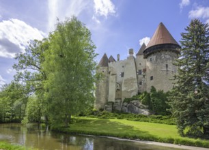 Castle with water-filled moat, Heidenreichstein, Lower Austria, Austria, Europe