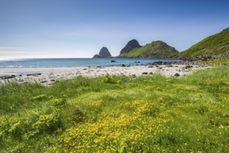 Sandvika beach near Nykvåg, Langøya island, Vesterålen archipelago, Norway, Europe