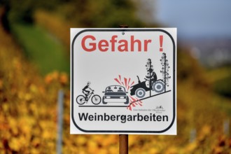 Signboard danger vineyard work, near Durbach, Ortenaukreis, Black Forest, Baden-Württemberg,