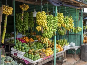 Fruit stand with banana plants and fruits, Sri Lanka, Asia