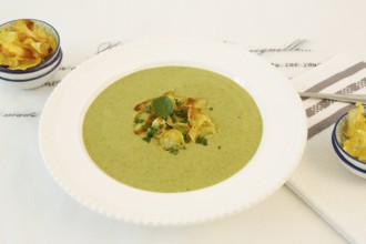 Swabian cuisine, cress soup with crisps, cress, plate with green cream soup, soup plate, garnished