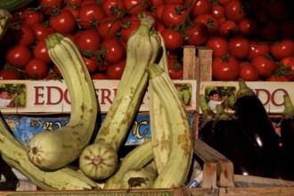 Zucchini (Cucurbita pepo subsp. pepo convar. giromontiina) Tomatoes, markets, open air, Palermo,