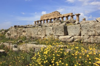 Selinunte, remains of the temples of the acropolis in the archaeological site of Selinunte, Trapani