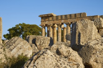 Temple E, Temple of Hera, Selinunte, Archaeological Site, Temple, Southwest Sicily, Sicily, Italy,