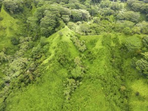 Aerial view of Kuilau Ridge Trail, Moalepe Road, Kauai, Hawaii, USA, North America