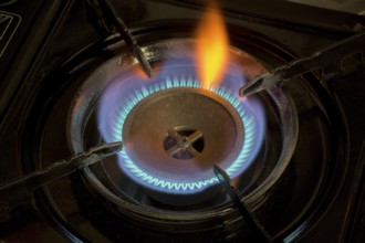 Symbolic image, gas cooker, gas price, gas price increase, energy, energy costs, gas flame