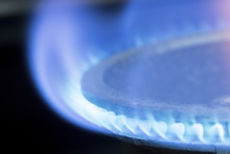 Symbolic image, gas flame, gas cooker, gas price increase, energy, energy costs