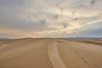 Beach "Platja del Fangar", sand dunes, Vegetation, nature reserve, ebro delta, Catalonia, Spain,