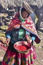 Woman in colourful traditional traditional costume and hat with a bowl of blood from slaughter,