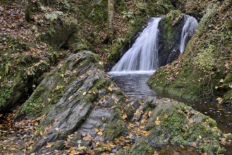 Waterfall in the wild Endert Valley, Moselle, Rhineland-Palatinate, Germany, Europe