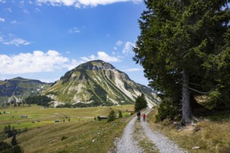 Mountain landscape, mountain biker on the Genneralm with Gennerhorn, Osterhorngruppe,