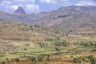 Countryside showing farms with green fields in barren landscape along the road from Bahir Dar to