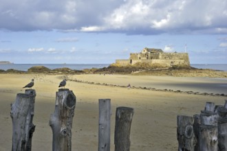 Fort National at low tide at Saint-Malo, Brittany, France, Europe