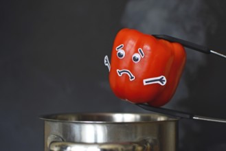 Red Paprika bell pepper with sad face and goggle eyes being put into a steaming cooking pot on dark