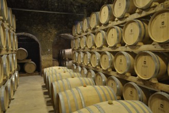 Wine barrels, Bodega Ribas, Consell, Majorca, Balearic Islands, Spain, Europe