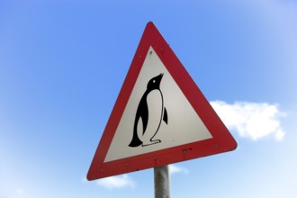 Road Sign Caution, Penguins, Simons Town, Boulder, South Africa, Africa