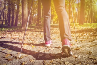 Nordic walking: adventure and exercising concept, woman hiking, legs and nordic walking poles in