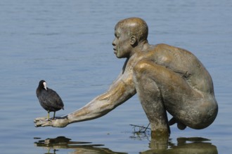 Sculpture El Ninio by Ubbo Enninga, common coot (Fulica atra) on hand, Radolfzell, Lake Constance,