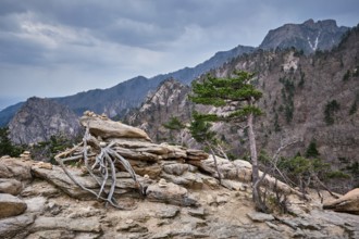 Rocks and stones in cloudy weather. Seoraksan National Park, South Korea, Asia